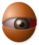 Am Eyeball Egg