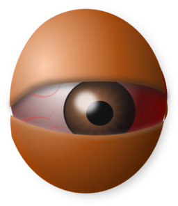 Am Eyeball Egg