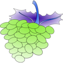 download Grapes clipart image with 180 hue color