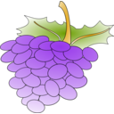 Grapes