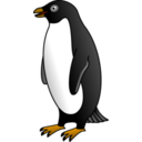 Adelie Penguin