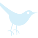 Bird Icon