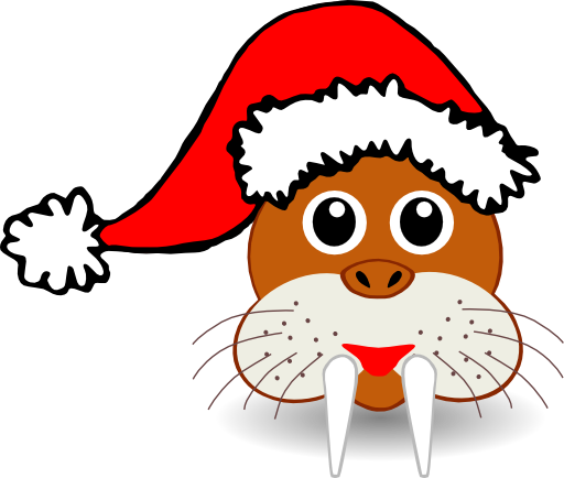 Funny Walrus Face With Santa Claus Hat