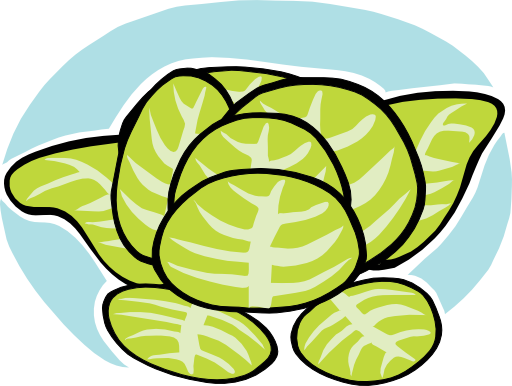 Iceberg Lettuce