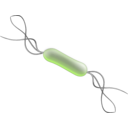 download Listeria clipart image with 225 hue color