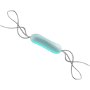 download Listeria clipart image with 315 hue color