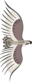 Golden Eagle
