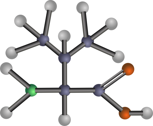 Valine Amino Acid