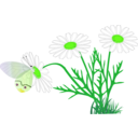 download A Butterfly On A Daisy clipart image with 45 hue color