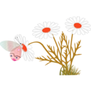download A Butterfly On A Daisy clipart image with 315 hue color