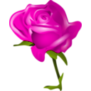 download Red Rose clipart image with 315 hue color