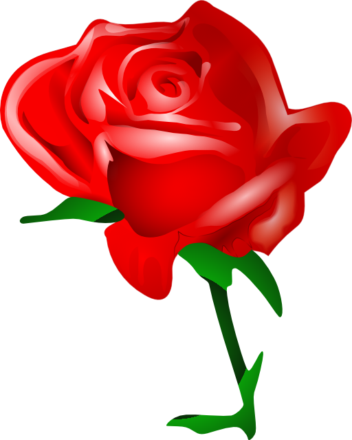 Red Rose