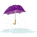 Tattered Umbrella In Rain