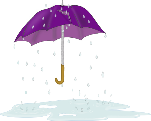 Tattered Umbrella In Rain