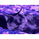 download Black Cat Sleeps clipart image with 225 hue color
