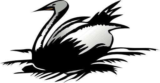 Architetto Cigno