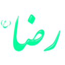 download Alinn Imam Reza As clipart image with 270 hue color