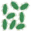 download Laponite Peg clipart image with 90 hue color