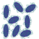 download Laponite Peg clipart image with 180 hue color