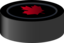 Hockey Puck Canada