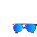 download Sunglasses clipart image with 0 hue color