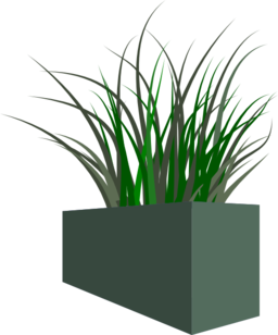 Grass In Square Planter