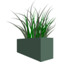 Grass In Square Planter