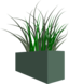 Grass In Square Planter