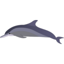 download Dolphin clipart image with 45 hue color