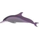 download Dolphin clipart image with 90 hue color