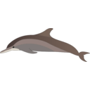 download Dolphin clipart image with 180 hue color