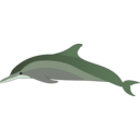 download Dolphin clipart image with 270 hue color