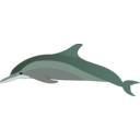 download Dolphin clipart image with 315 hue color