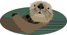 Sea Otter