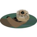 Sea Otter