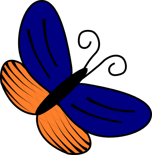 Blue And Orange Butterfly