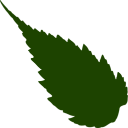 Leaf 05