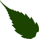 Leaf 05