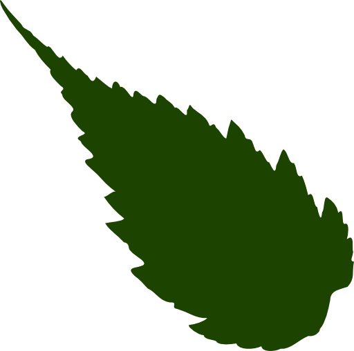 Leaf 05