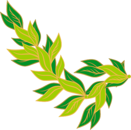 Bay Leaf