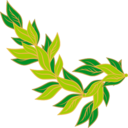 download Bay Leaf clipart image with 0 hue color