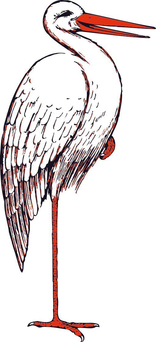 Stork