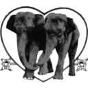 Lover Elephants