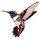 download Ruby Throated Hummingbird clipart image with 225 hue color