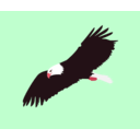 download Soaring Eagle clipart image with 315 hue color
