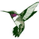 download Ruby Throated Hummingbird clipart image with 315 hue color