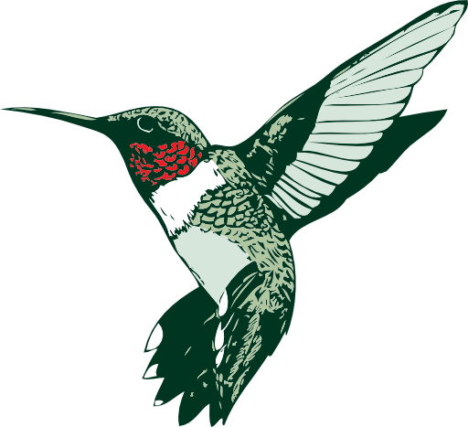 Ruby Throated Hummingbird