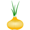 download Onion clipart image with 0 hue color