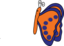 Orange Blue Butterfly