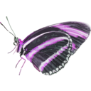 download Dryadula Phaetusa clipart image with 270 hue color